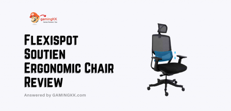 Flexispot Soutien Ergonomic Chair Review