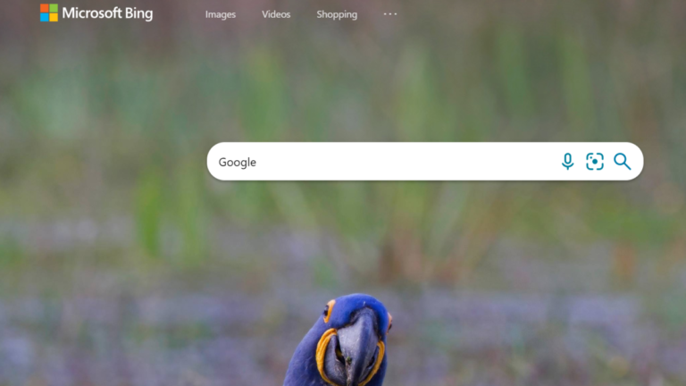 Google says the most searched word on Bing is, wait for it, ‘Google’