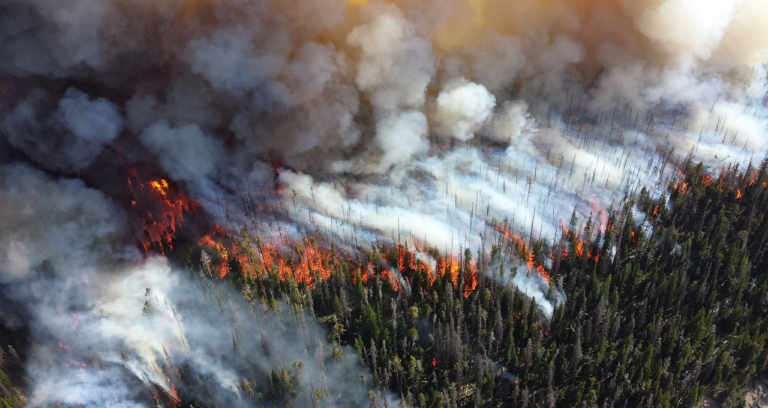 OroraTech Provides Early Detection of Wildfires From Space